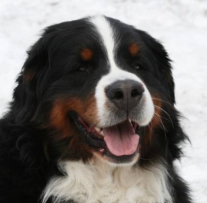 Santtu