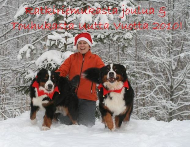 Vaihteleva starttikuva