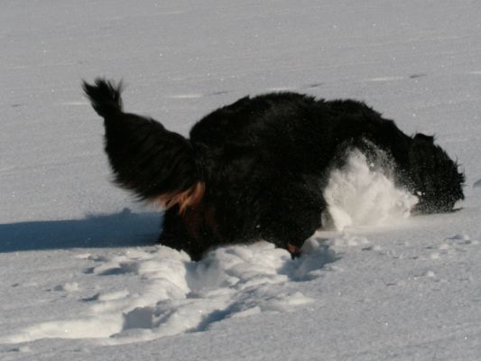 Vaihteleva starttikuva