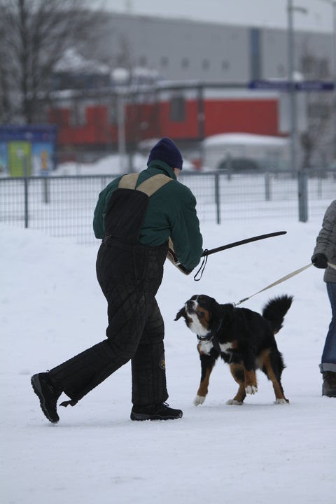 Vaihteleva starttikuva