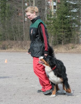 Vaihteleva starttikuva