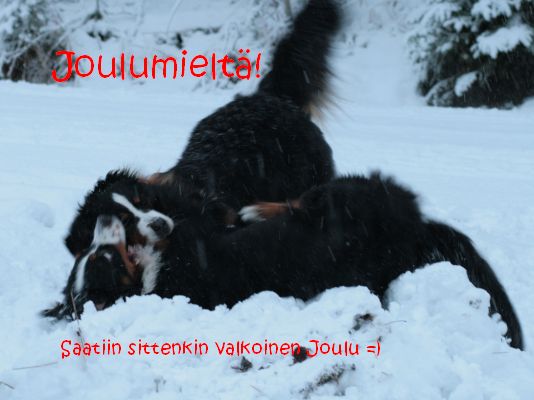Vaihteleva starttikuva